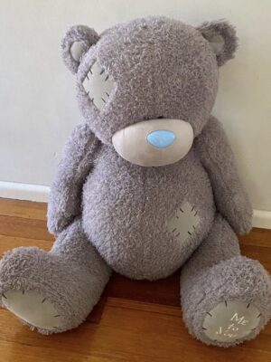 Tatty Teddy HIRE